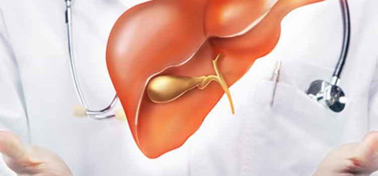 Liver Ayurvedic Treatment